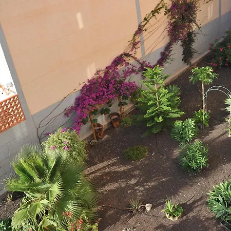 ático Vista Mar Con Terraza